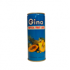 Gina Tropical Fruit juice 240ml